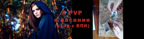 стаф Снежногорск