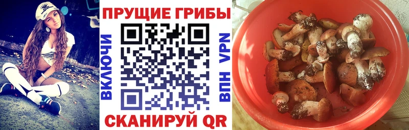 MEGA зеркало  Аксай  Псилоцибиновые грибы ЛСД 