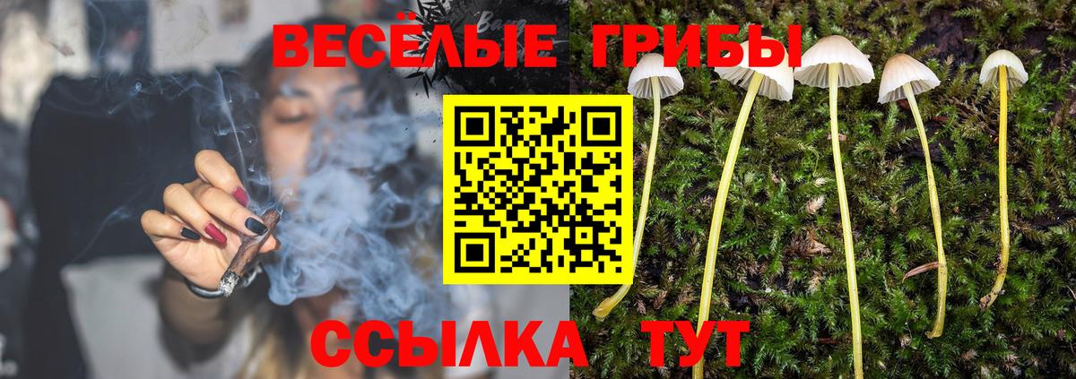 Галлюциногенные грибы Psilocybe  Галлюциногенные грибы прущие грибы  Вход с VPN  Аксай 